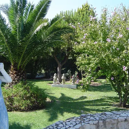 Quinta Dos Oliveiras-3